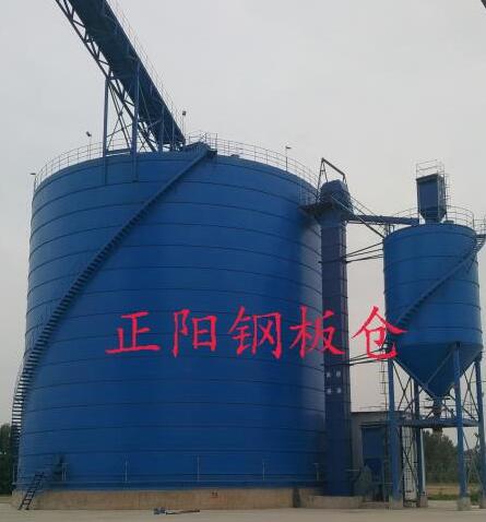 洛扎大型矿粉钢板库